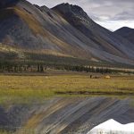 Arctic National Wildlife Refuge by USFWSAlaska